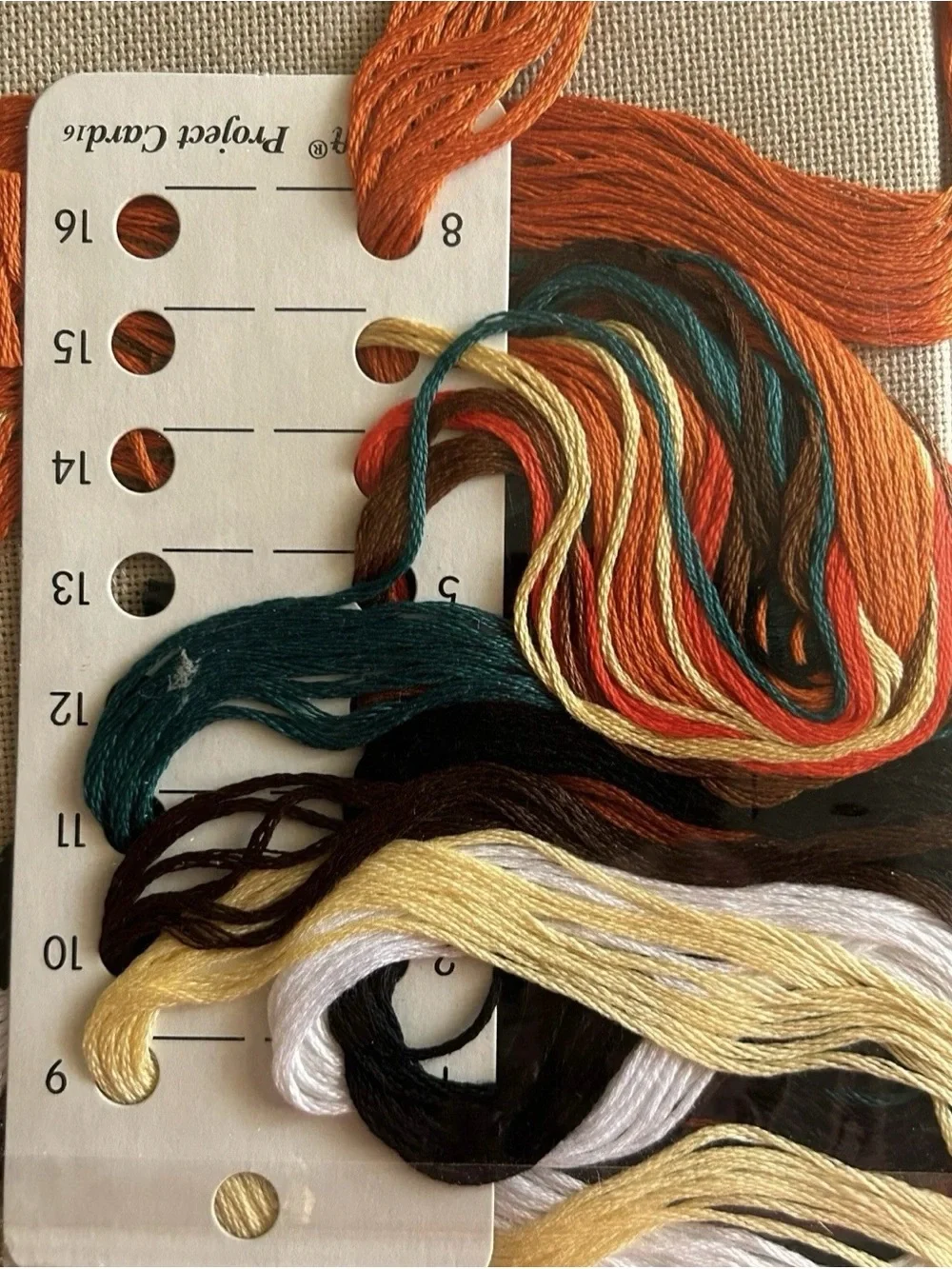 Nellie Teixeira's Rhythm of the Plains Cross-Stitch Kit